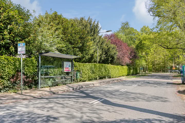 Foto 53 van Strolaan 48