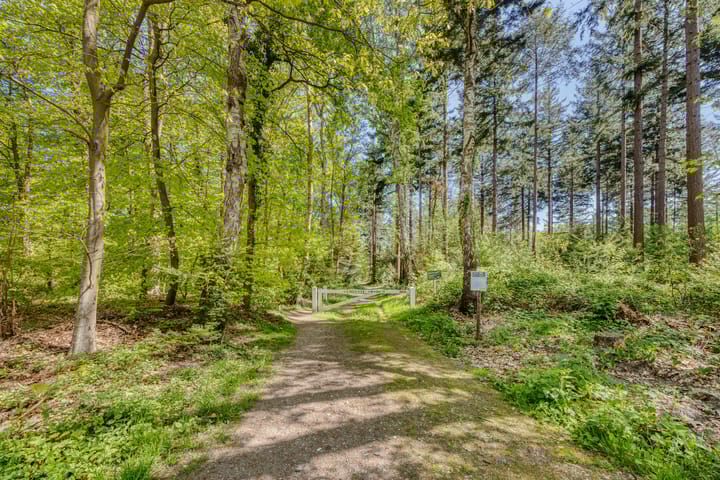 Foto 56 van Strolaan 48