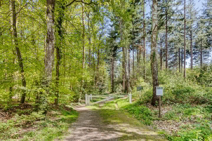 Foto 57 van Strolaan 48