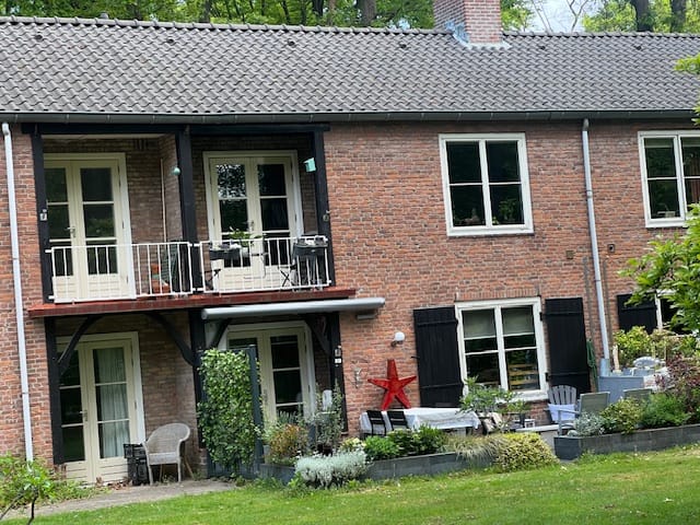 Foto 4 van Park Rodichem 20