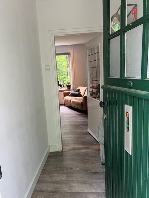 Foto 7 van Park Rodichem 20