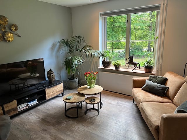 Foto 8 van Park Rodichem 20