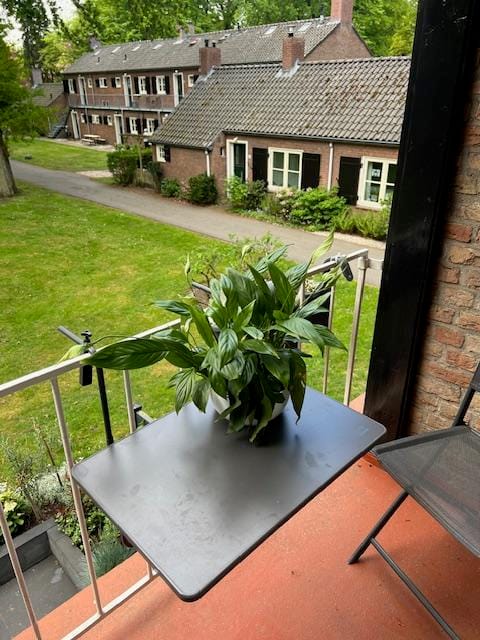 Foto 25 van Park Rodichem 20