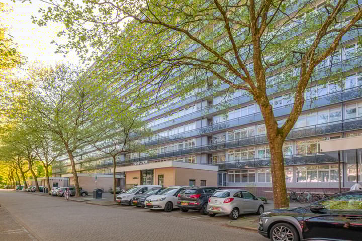 Foto 1 van Laan van Vollenhove 2637