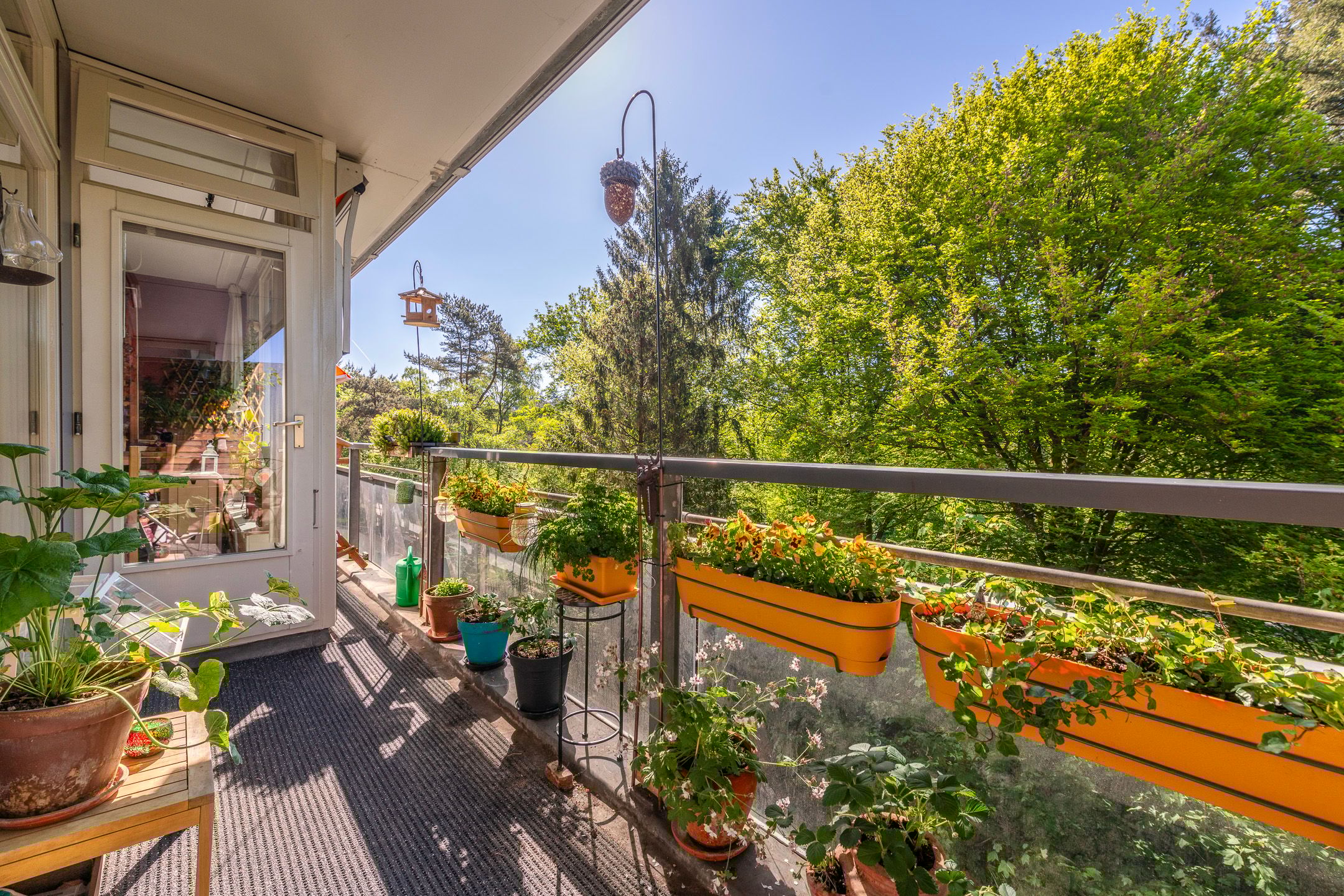 Foto 12 van Laan van Vollenhove 2637