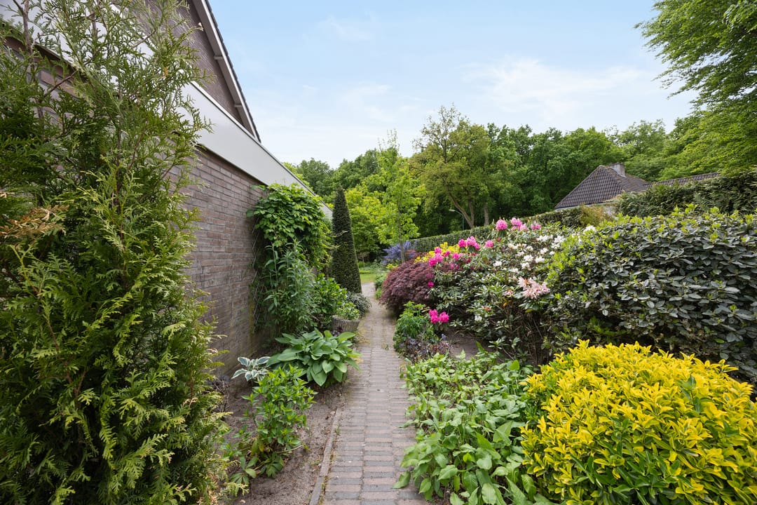 Photo 2 of Hellebaardstraat 2