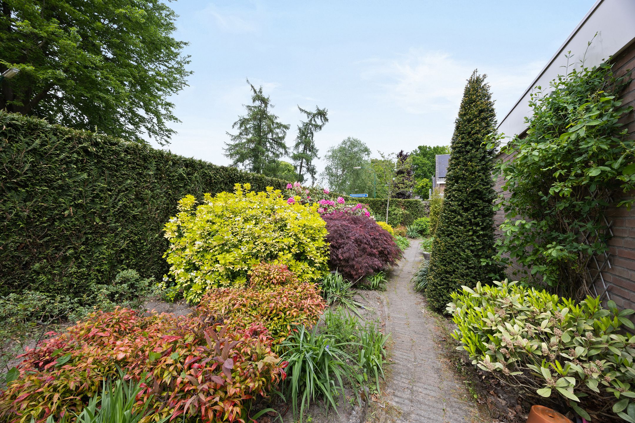 Photo 30 of Hellebaardstraat 2