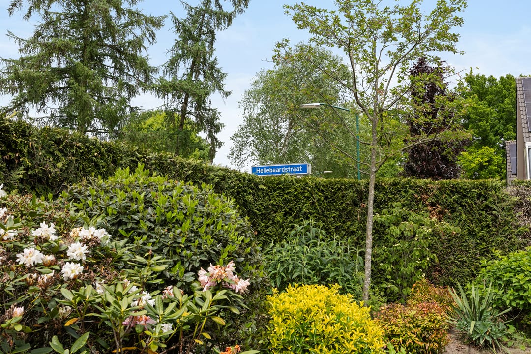 Photo 31 of Hellebaardstraat 2