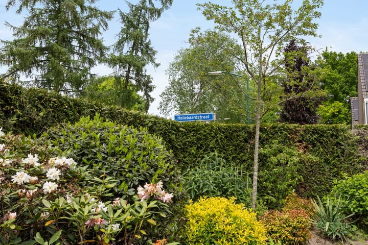 Photo 31 of Hellebaardstraat 2