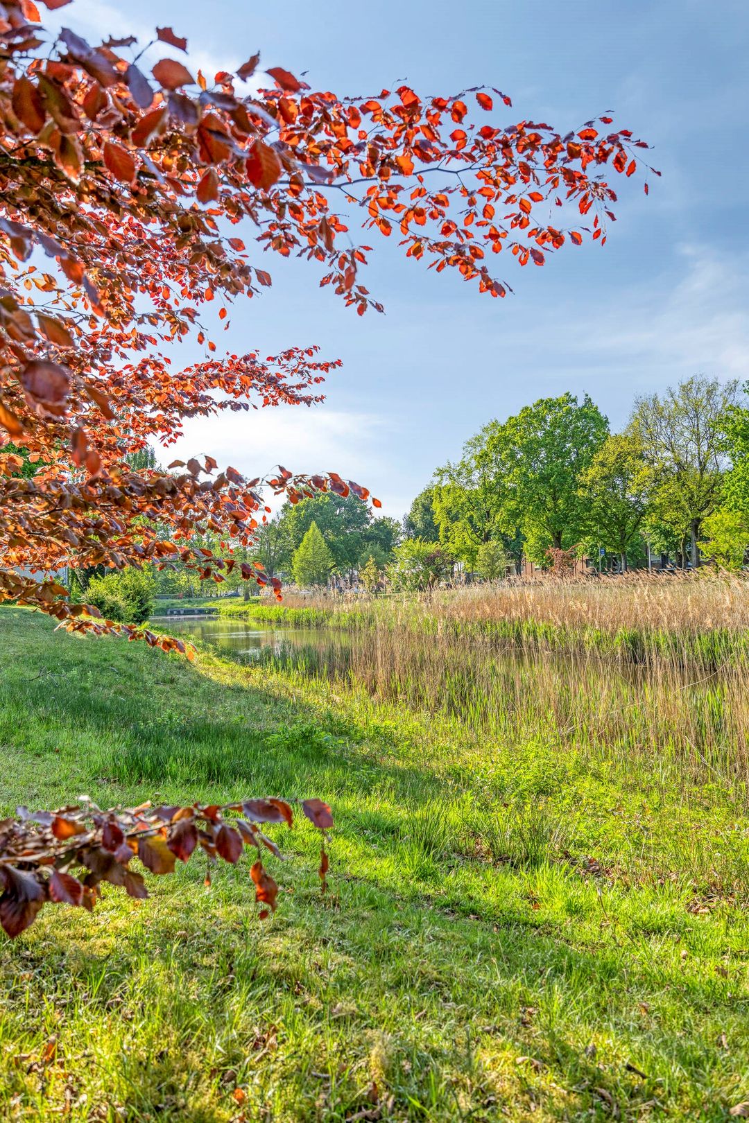 Foto 26 van Kalsdonksestraat 174-B