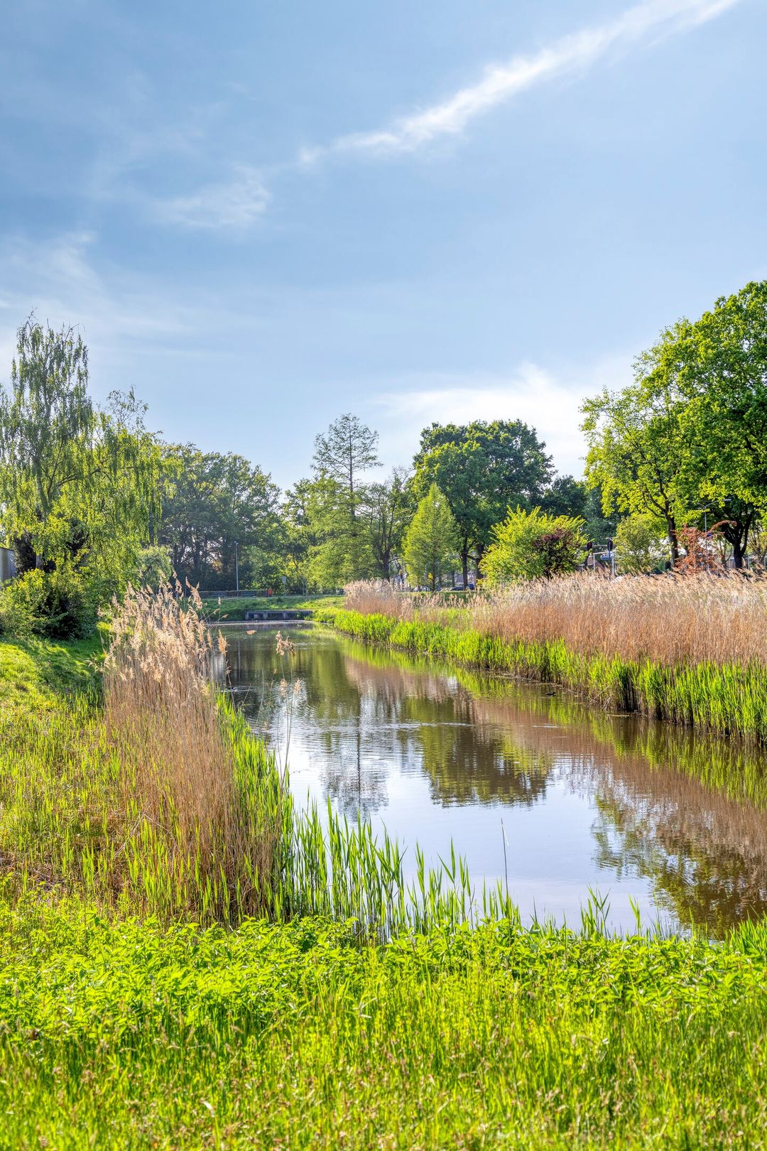 Foto 28 van Kalsdonksestraat 174-B