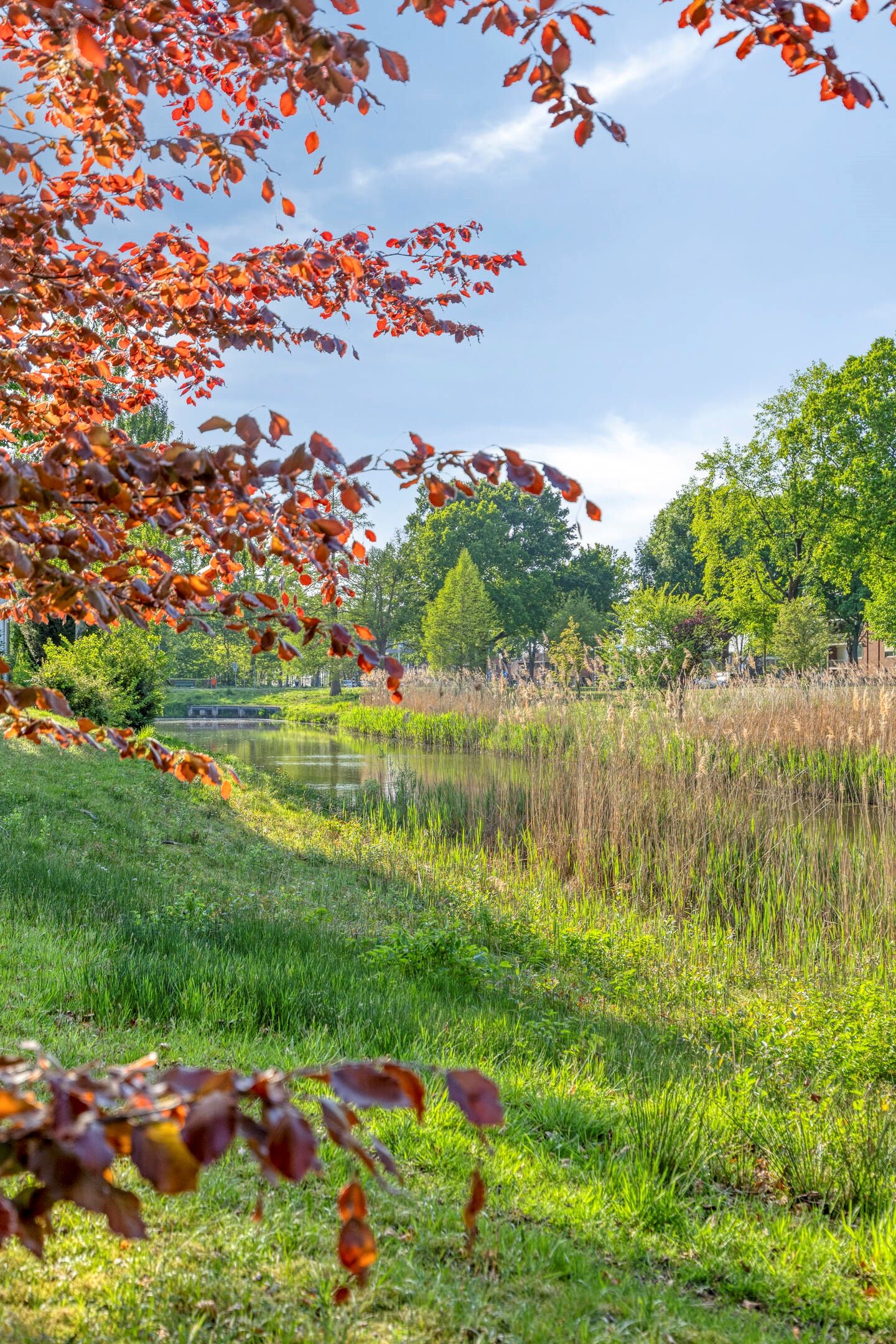 Foto 30 van Kalsdonksestraat 174-B