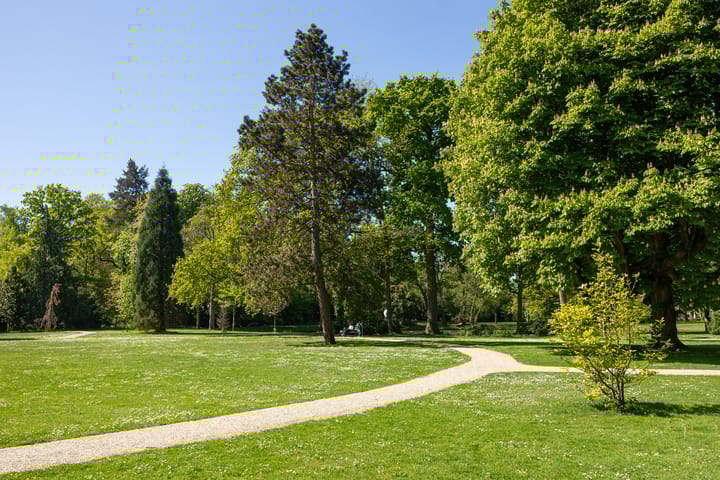 Foto 37 van Willem van Beuningenlaan 6