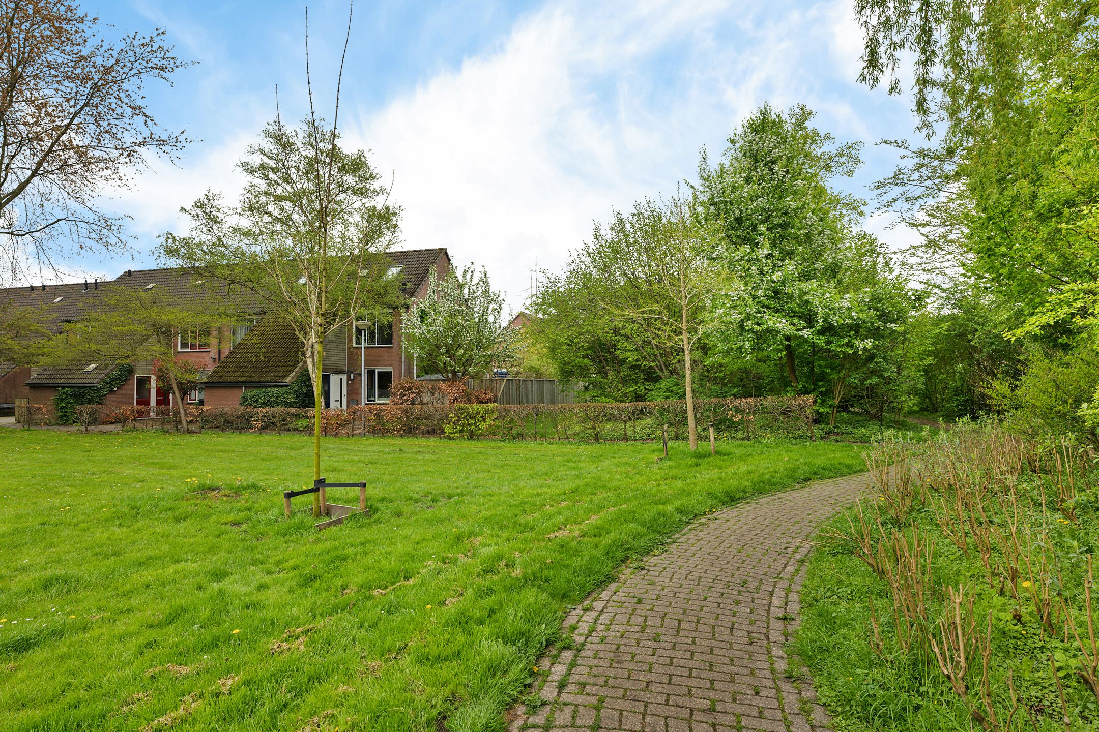 Foto 6 van Bolder 10