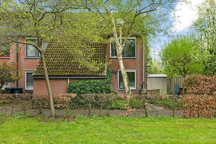 Photo 7 of Bolder 10