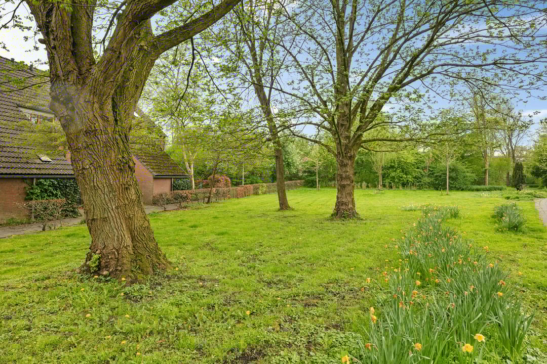 Foto 8 van Bolder 10