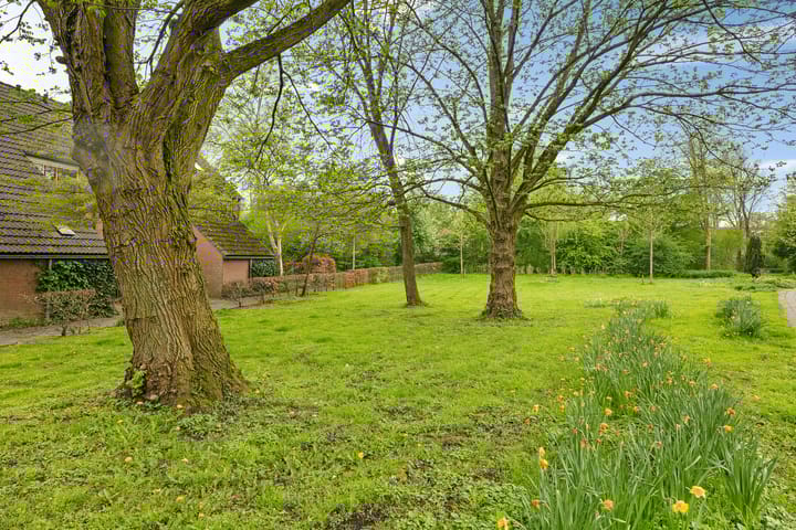 Photo 8 of Bolder 10