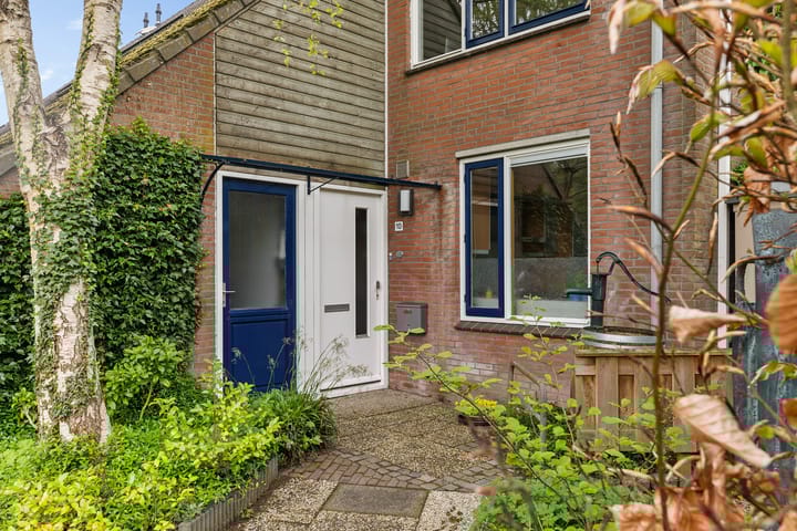 Photo 11 of Bolder 10