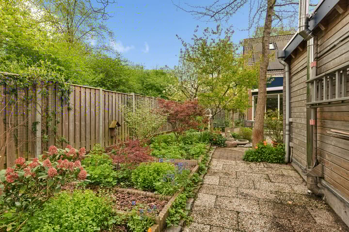 Photo 38 of Bolder 10