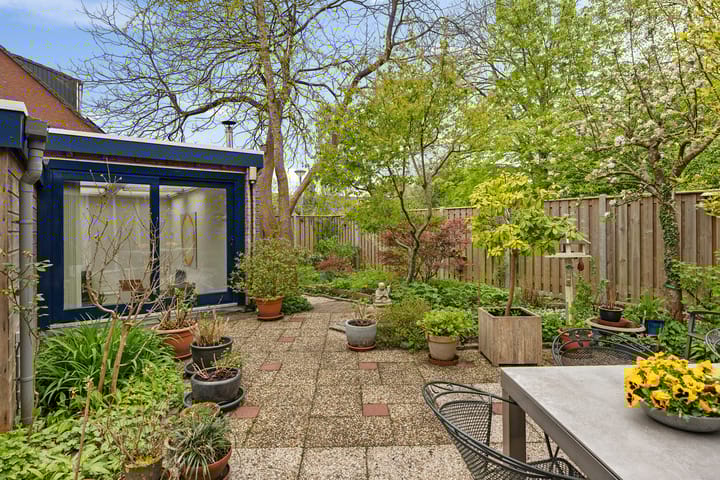 Photo 42 of Bolder 10