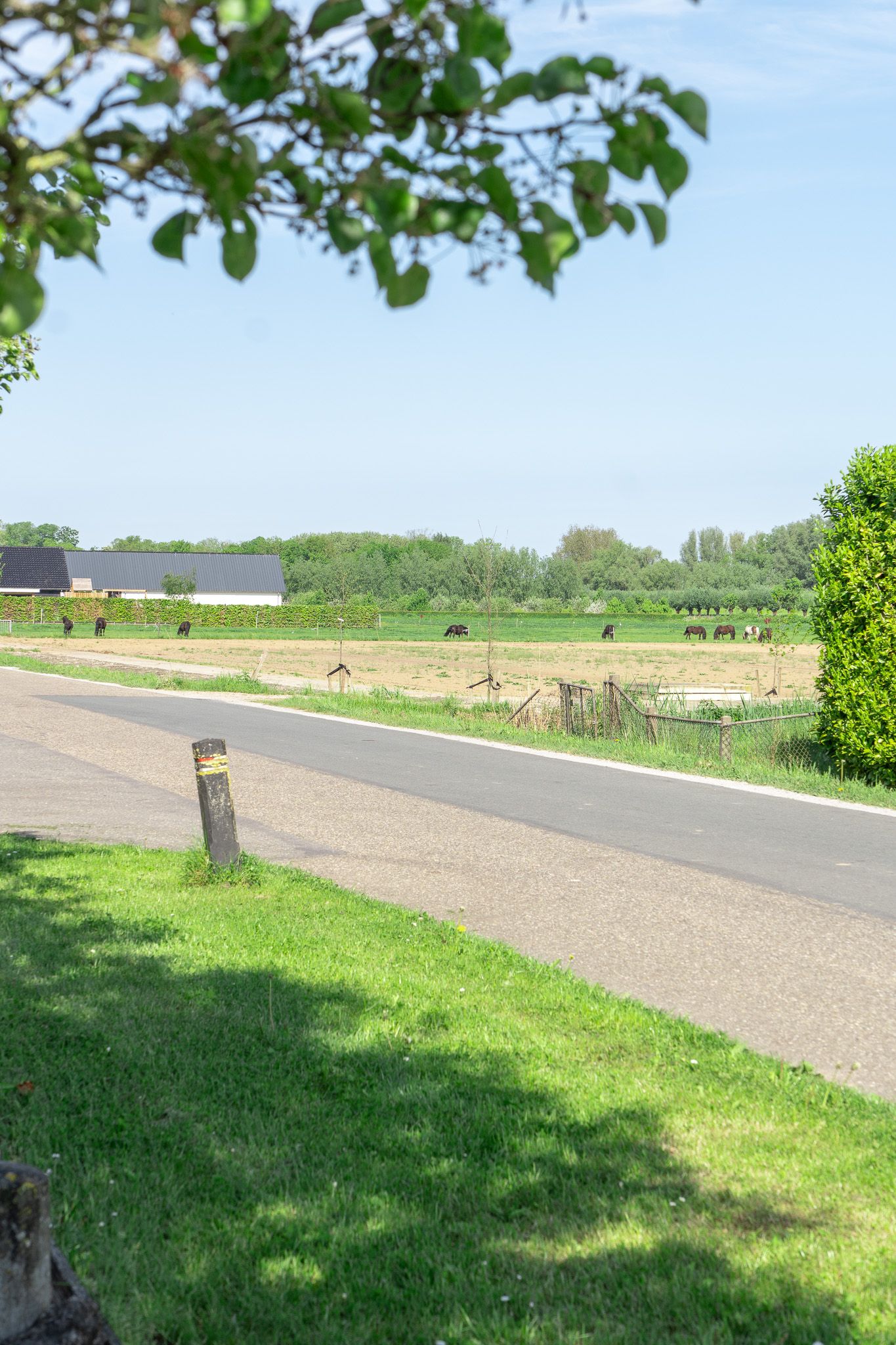 Photo 34 of Liesveldsesteeg 30