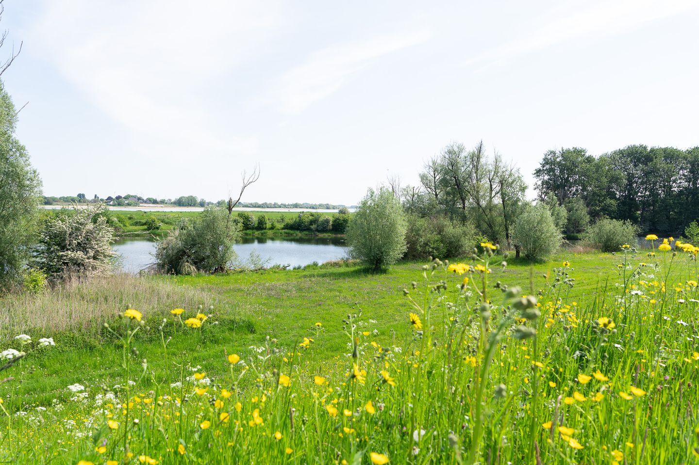 Photo 35 of Liesveldsesteeg 30