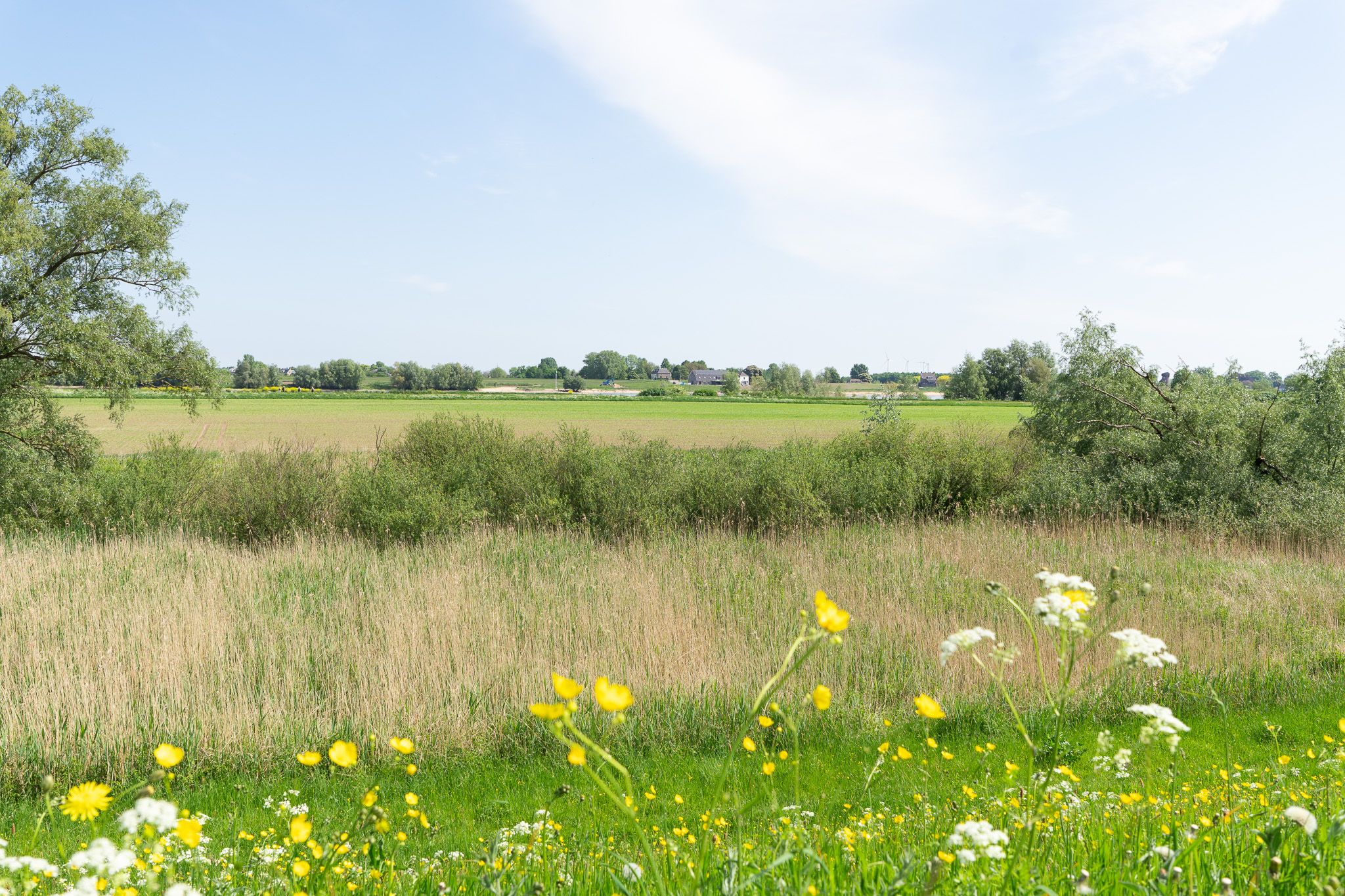 Photo 36 of Liesveldsesteeg 30