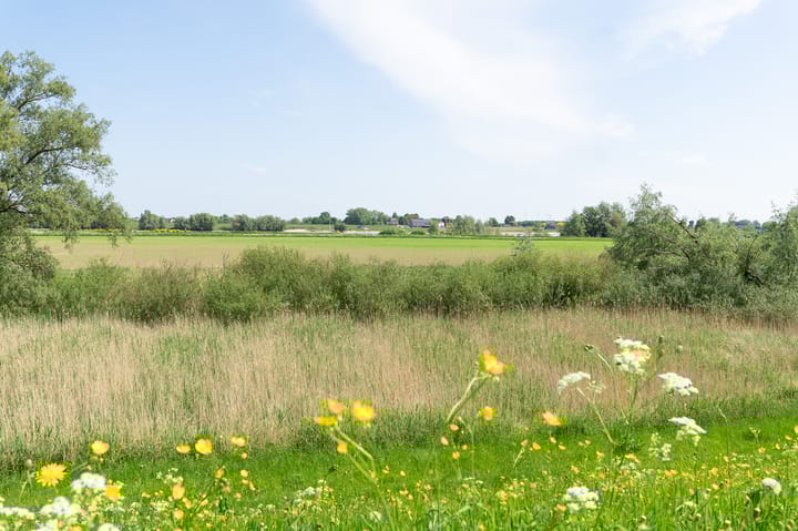 Foto 36 van Liesveldsesteeg 30