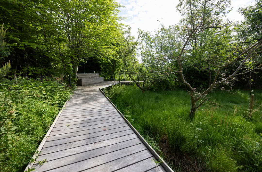 Foto 38 van Leypad 19