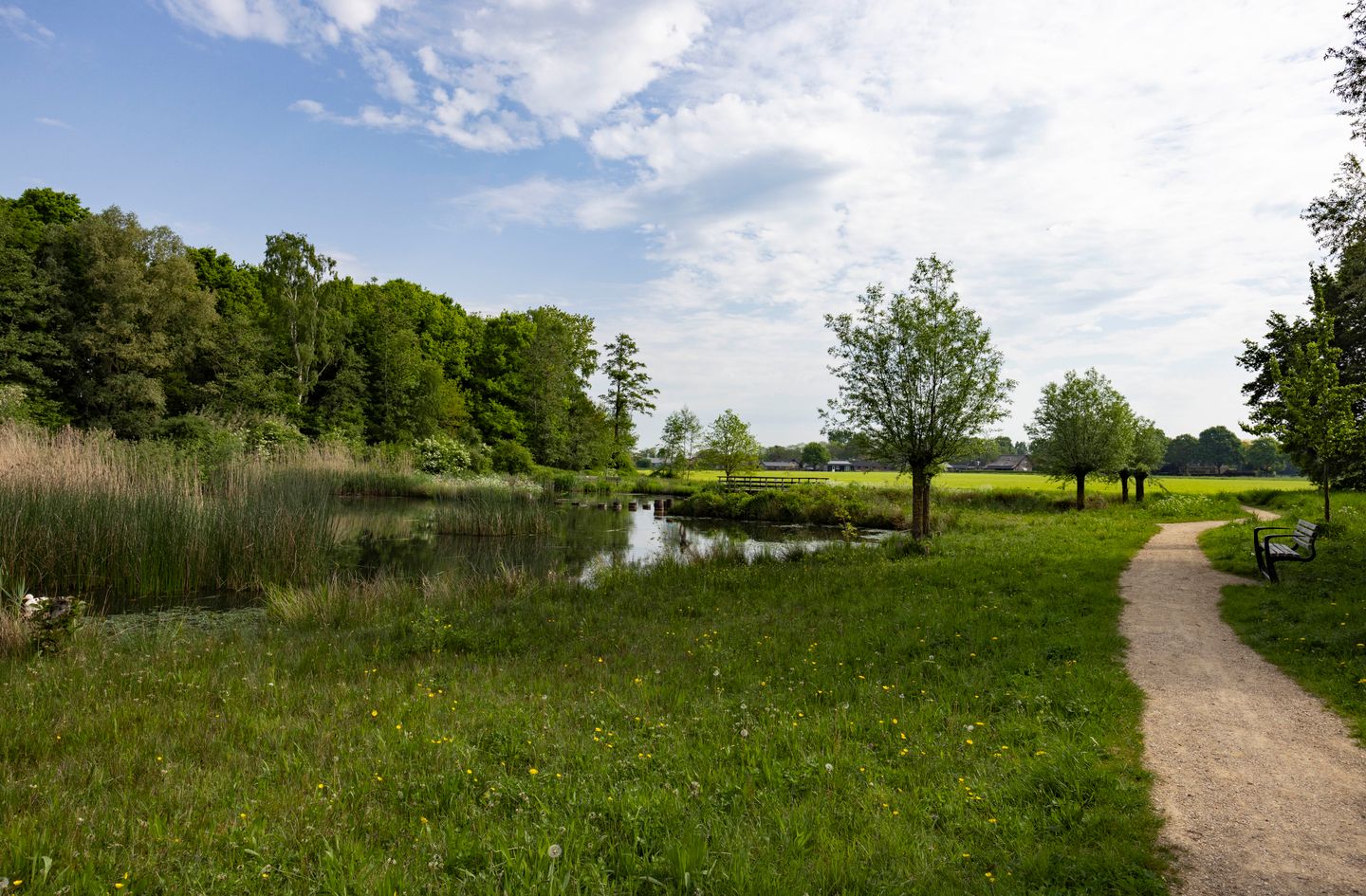 Foto 40 van Leypad 19