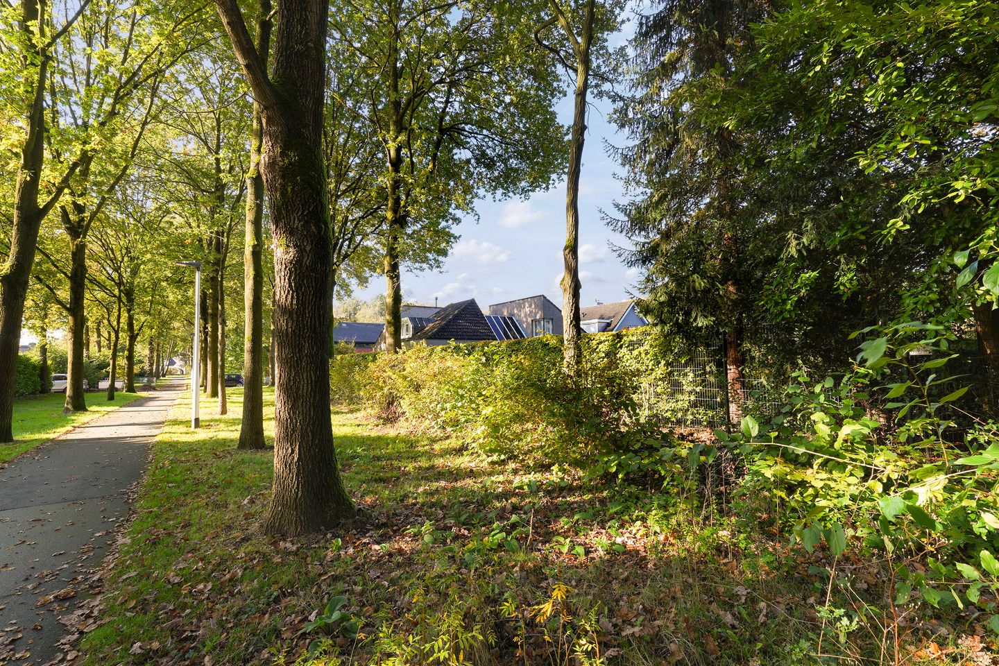 Foto 74 van Grevelingen 73