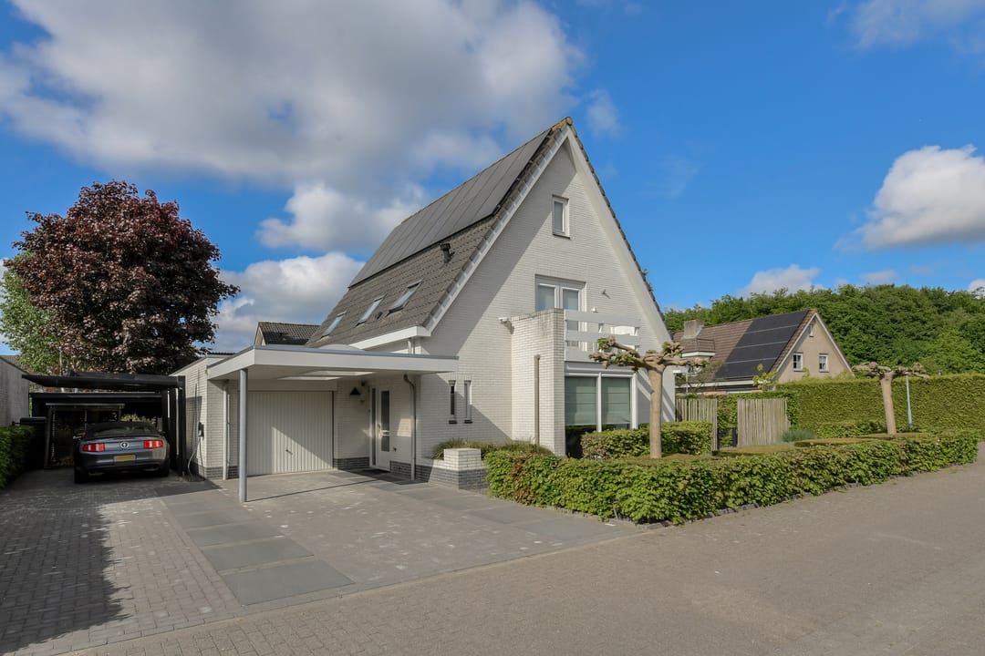 Foto 2 van Zeggeveen 15