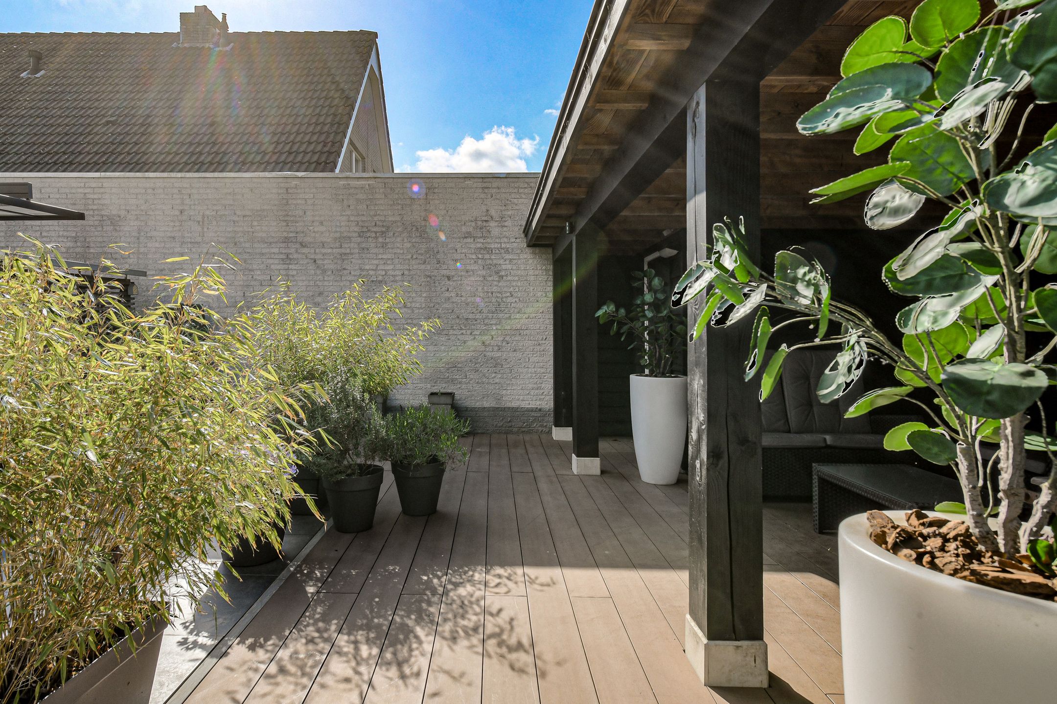 Foto 48 van Zeggeveen 15