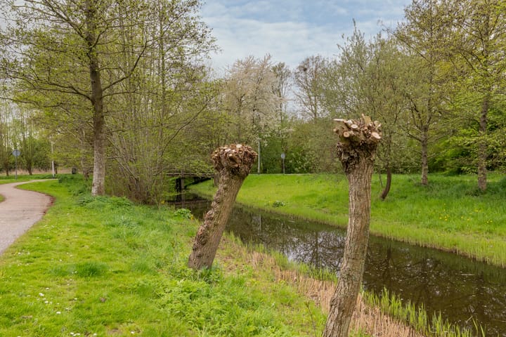 Foto 36 van Oeverwal 29