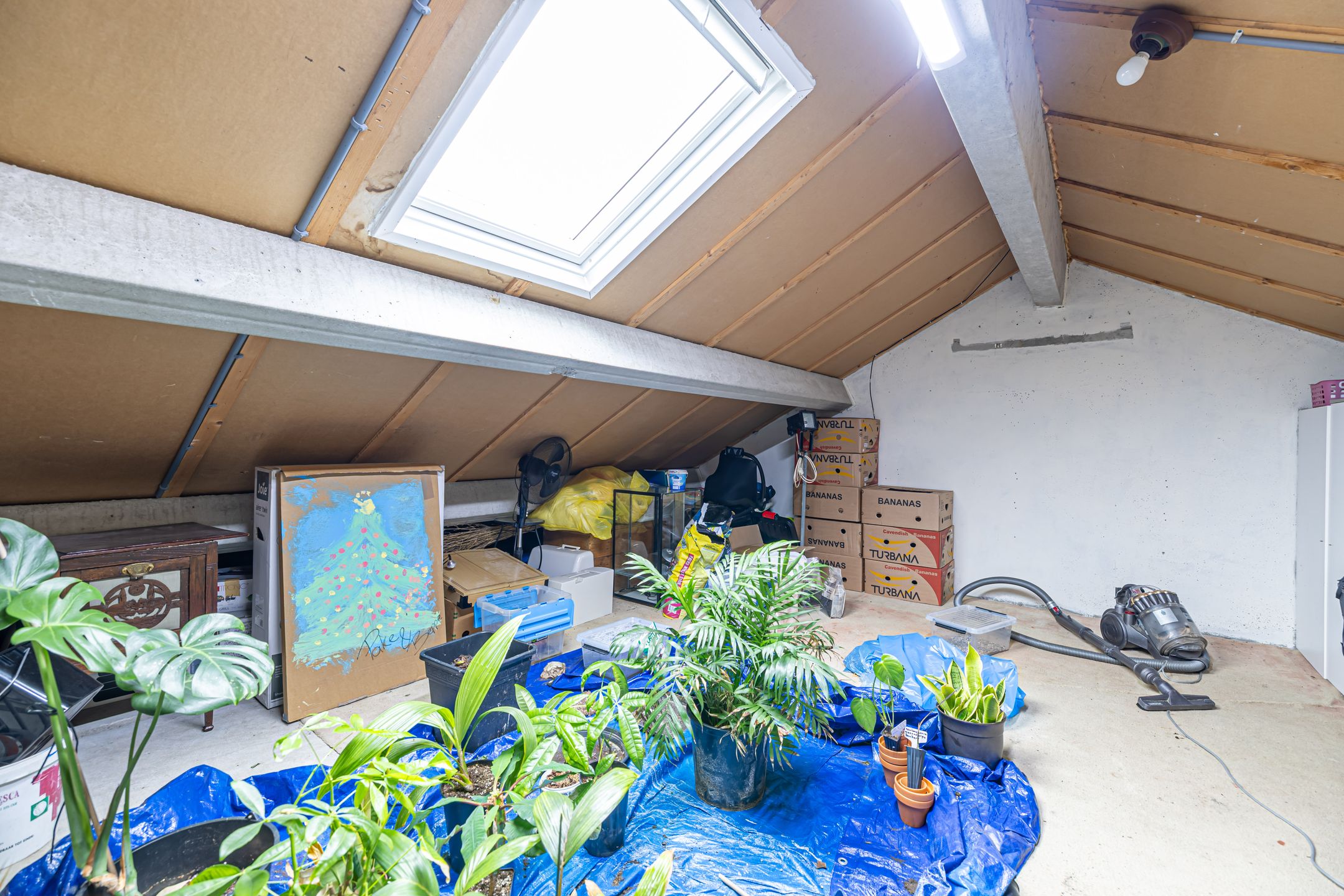 Foto 27 van De Acacia 28