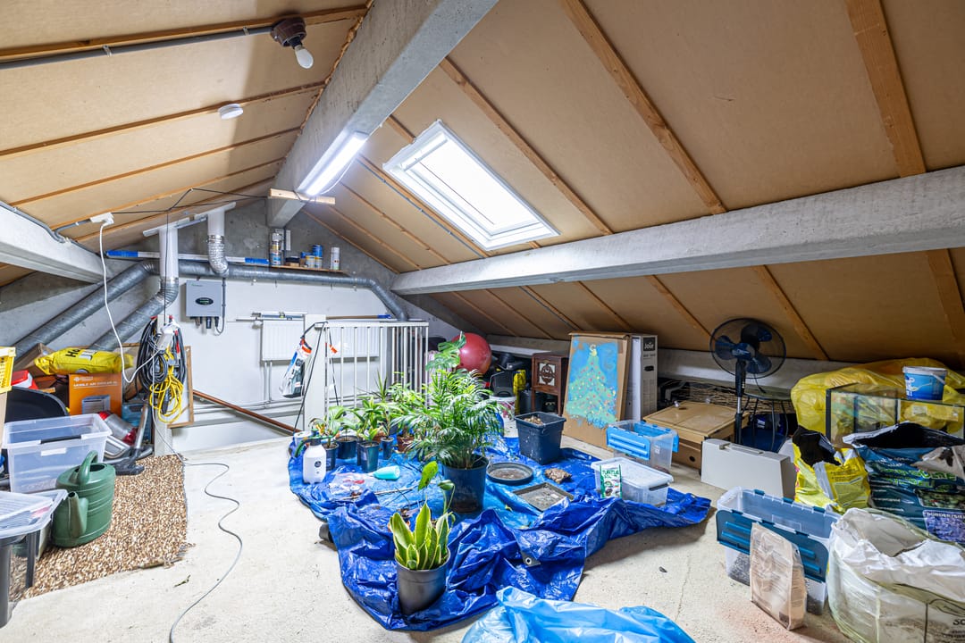 Foto 28 van De Acacia 28