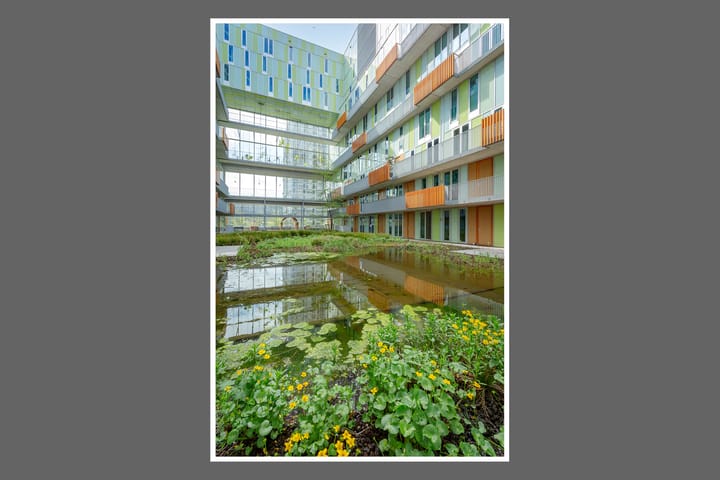 Photo 56 of Postjesweg 312