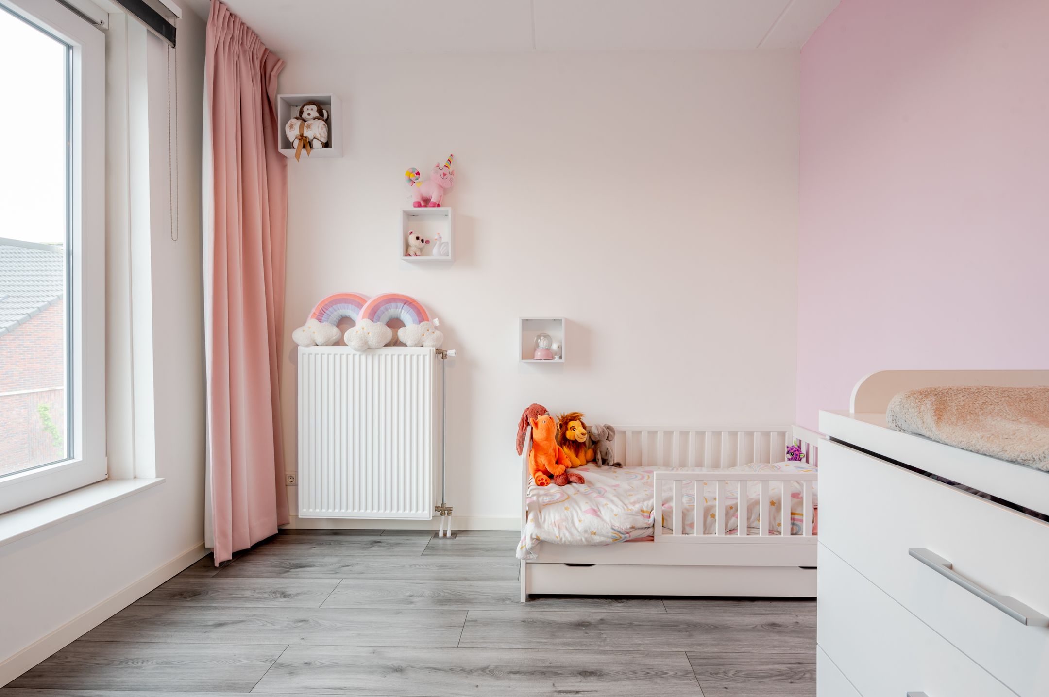 Photo 21 of Karl Braunstraat 22