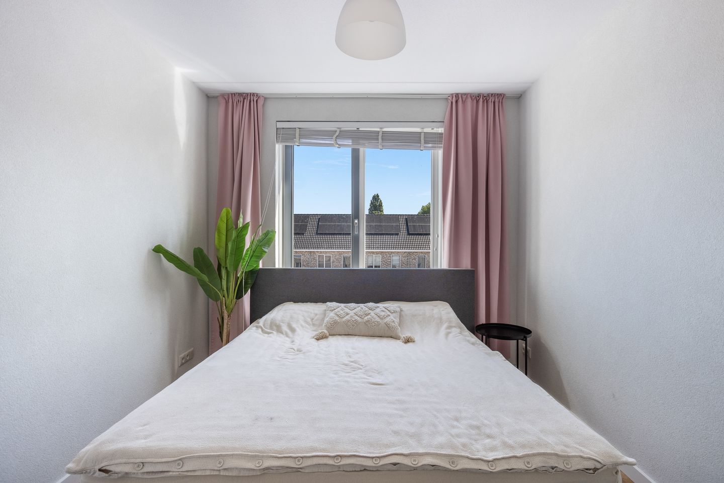 Foto 25 van Jacob van Ruisdaelstraat 14