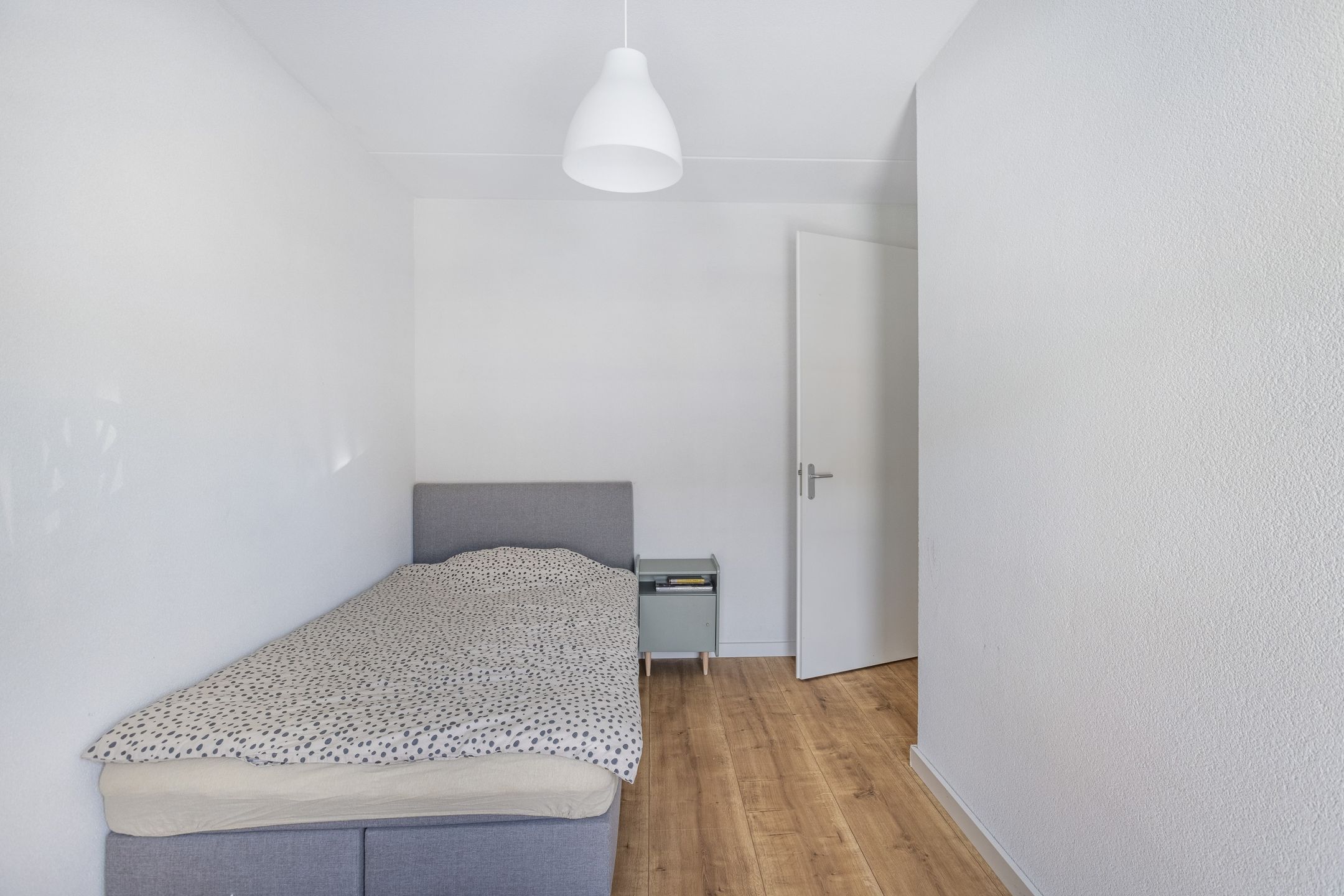 Foto 15 van Jacob van Ruisdaelstraat 14