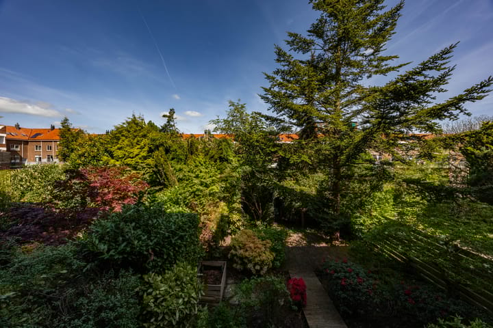 Foto 40 van Gorechtkade 133-A