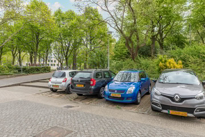 Foto 40 van Cornelis van Rijplantsoen 43