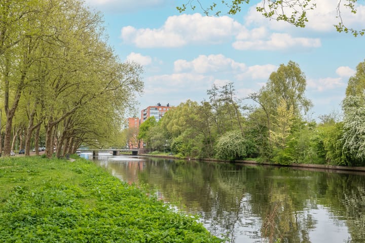 Foto 47 van Cornelis van Rijplantsoen 43