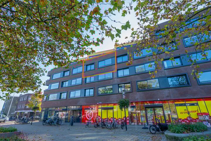 Foto 30 van Merelstraat 100