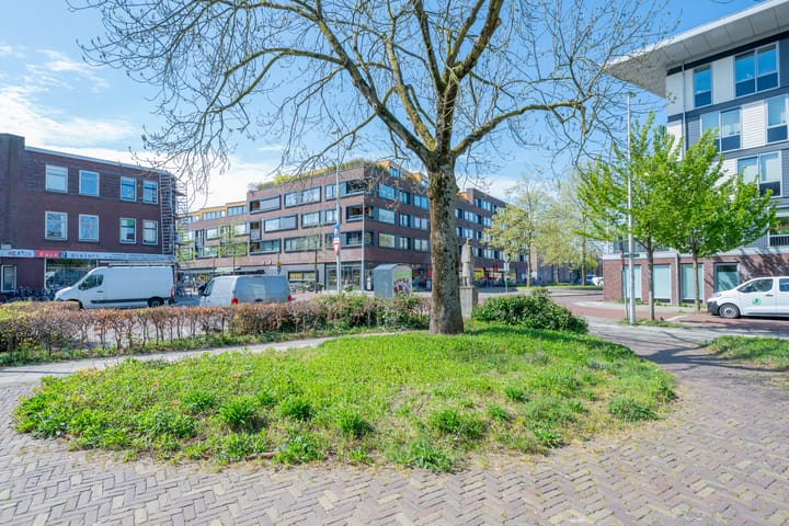 Foto 42 van Merelstraat 100