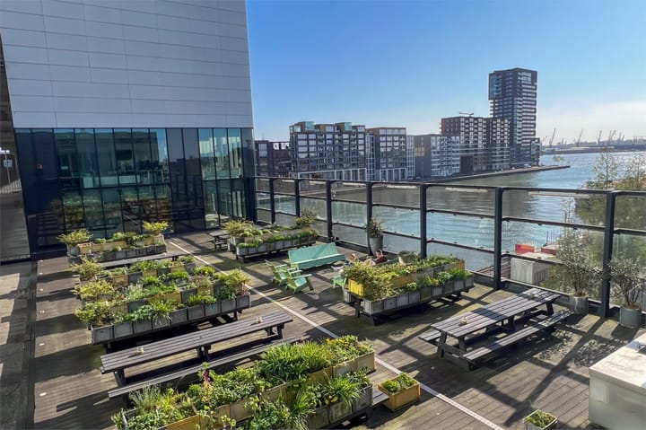 Foto 3 van Schiehavenkade 116