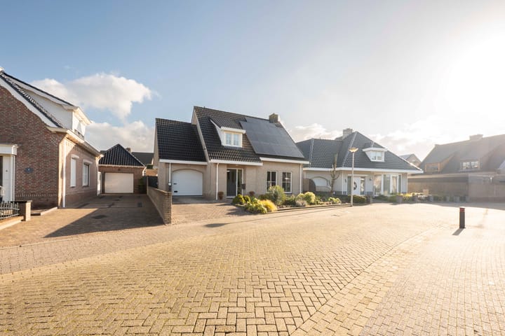 Foto 4 van Essenrijs 4