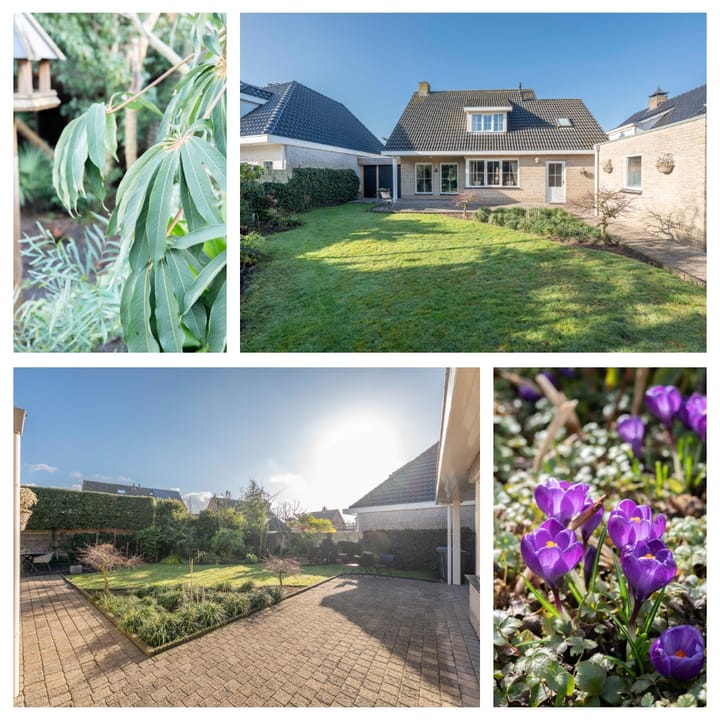 Foto 23 van Essenrijs 4