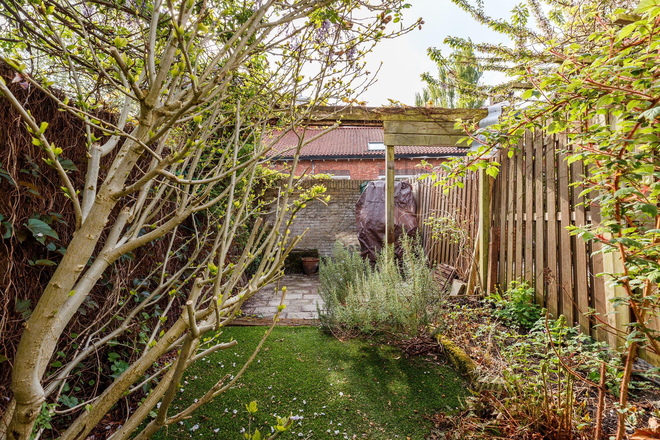 Foto 3 van Otterstraat 97