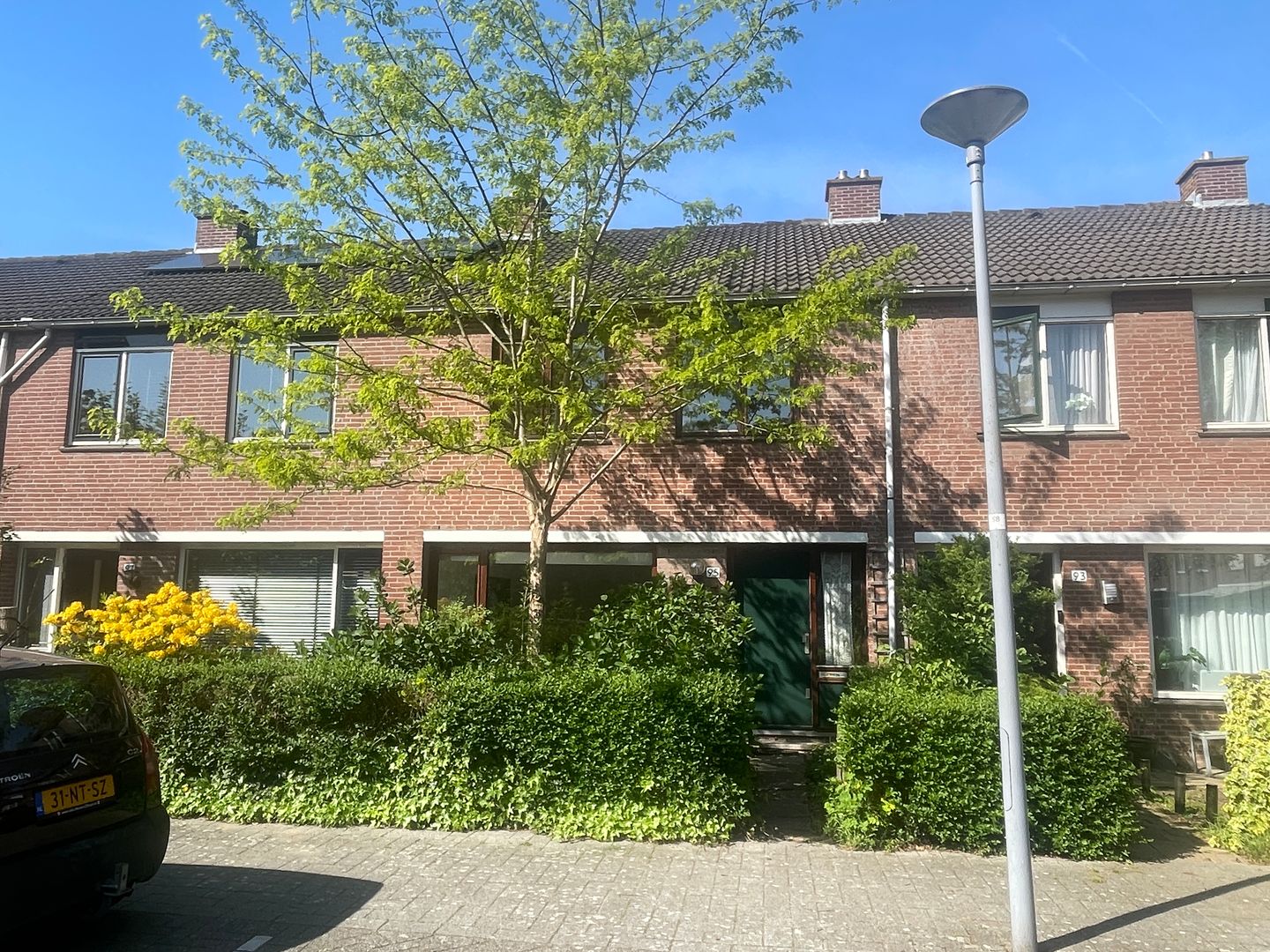 Foto 1 van Balsemkruid 95